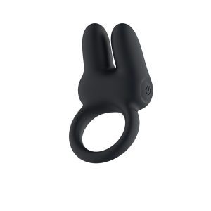 Passion Play Dual Motors Vibrating Cockring